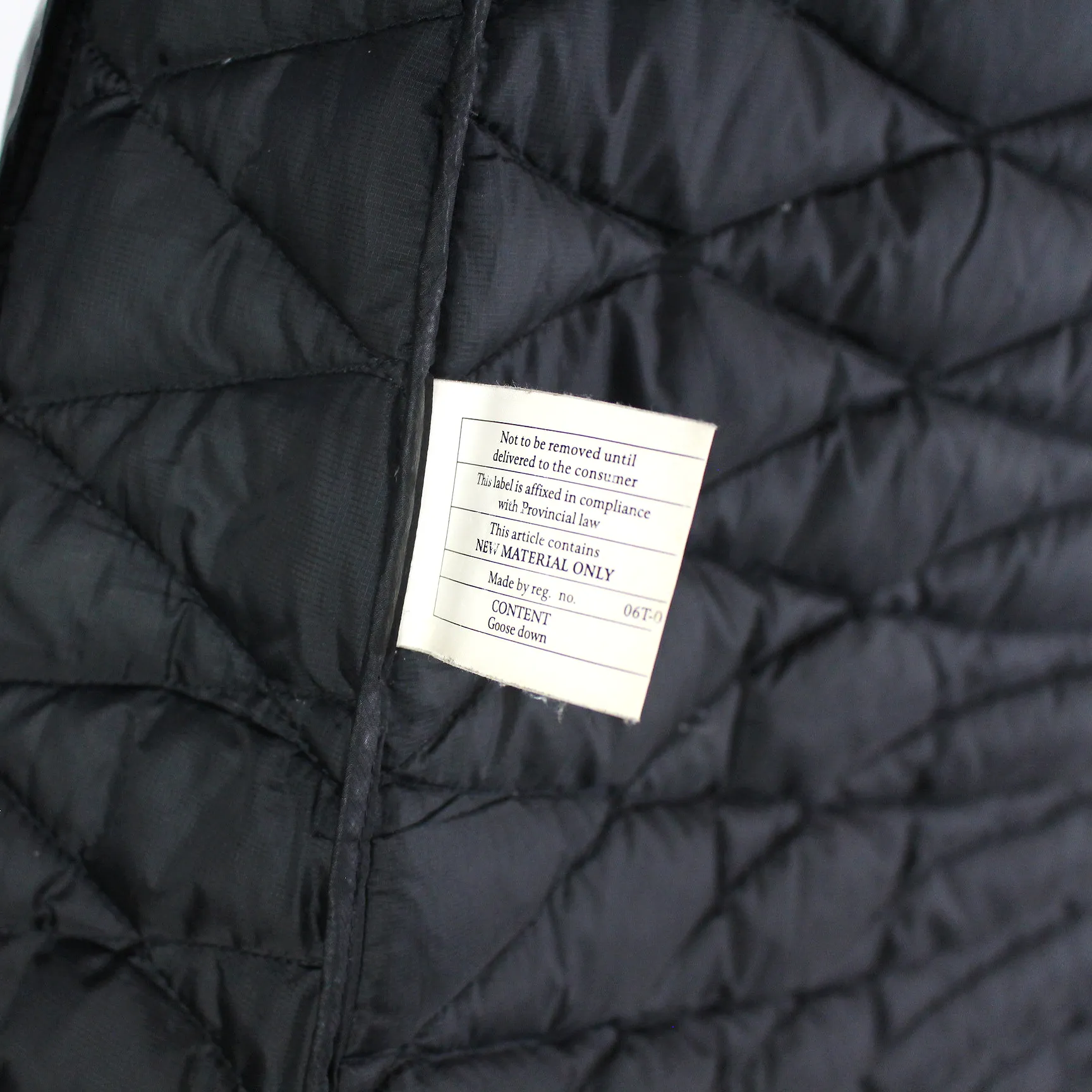 Patagonia Down Puffer Coat