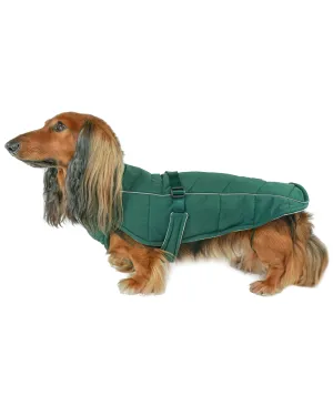 Whistler Winter Dog Coat - Lafayette Green