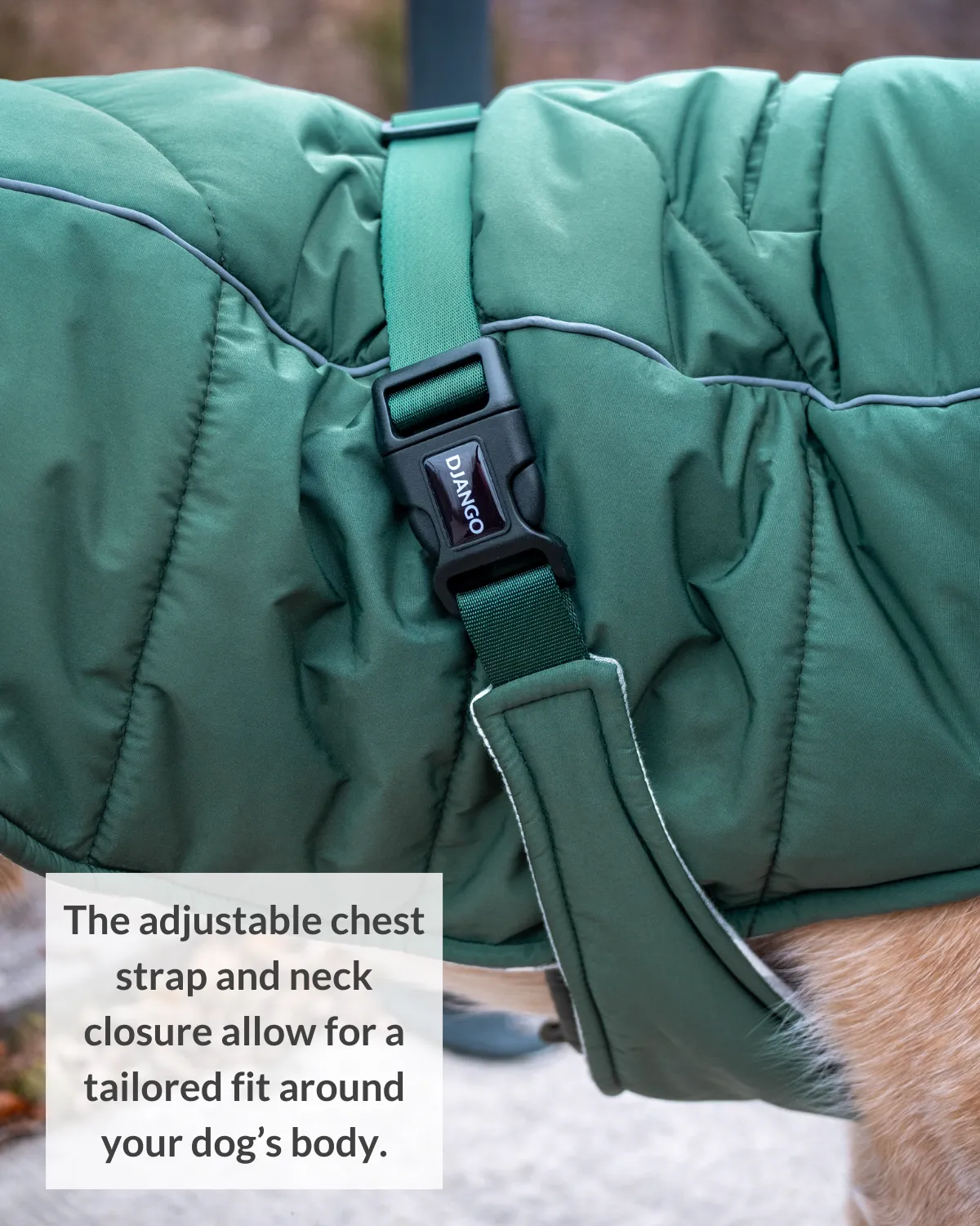Whistler Winter Dog Coat - Lafayette Green